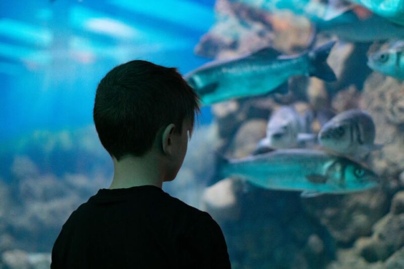 Corfu: Aquarium Entry Ticket With Guided Tour - Experience Highlights