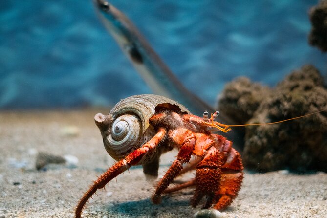Corfu Aquarium Ticket With Tour Included - Pickup and Redemption Process