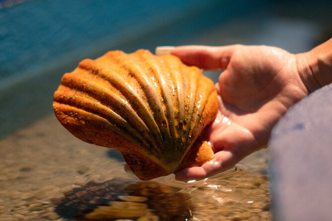Corfu Aquarium Ticket With Tour Included - Additional Information and Contact