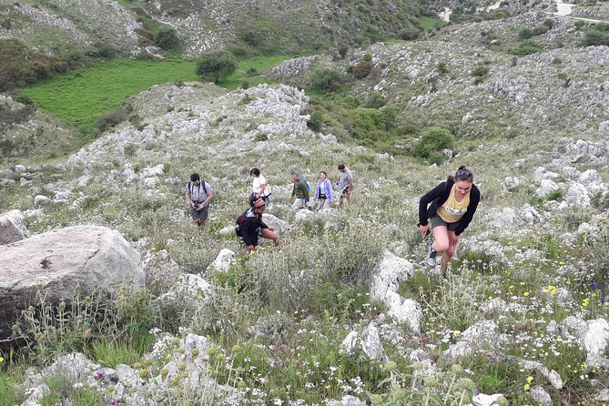 Corfu Countryside Hiking Tour - Pickup Information