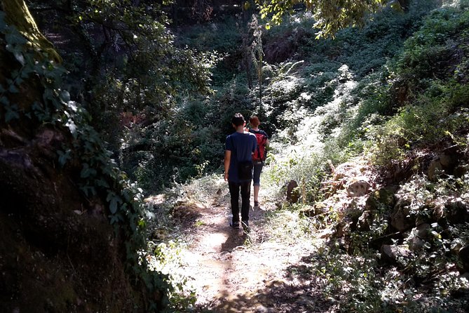 Corfu Countryside Hiking Tour - Local Guide Services