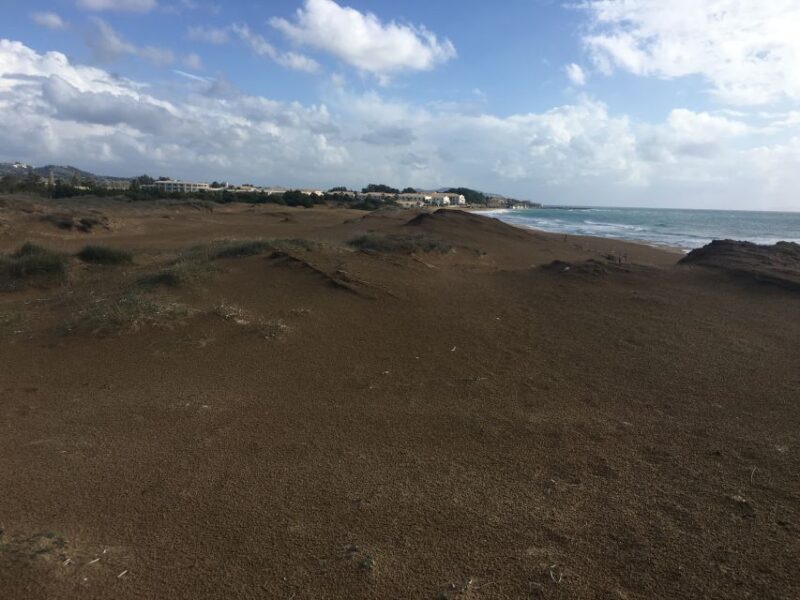 Corfu: Full Day Small-Group Trip With Lunch - Group Size and Duration