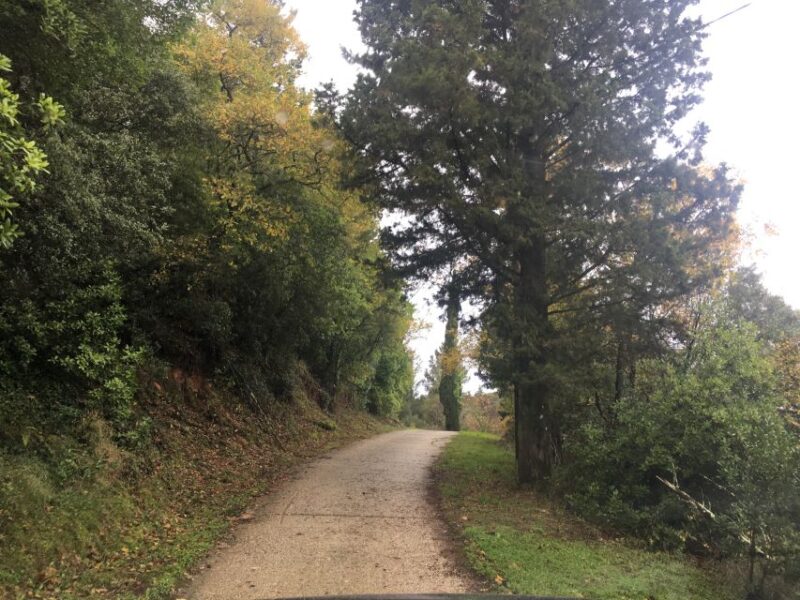 Corfu: Full Day Small-Group Trip With Lunch - Frequently Asked Questions