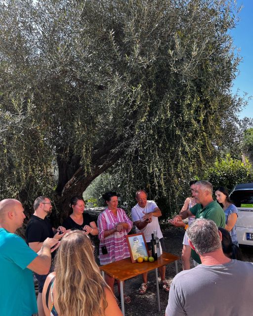 Corfu: Greek Cooking Class & Olive Oil Tasting - Olive Oil Tasting Session