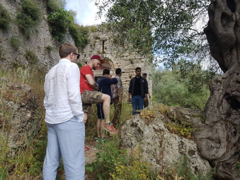 Corfu: Olive Oil Experience - The Governors Olive Mill - What to Expect