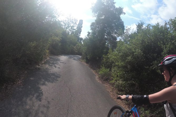 Corfu Private Biking Tour - Participant Reviews and Feedback