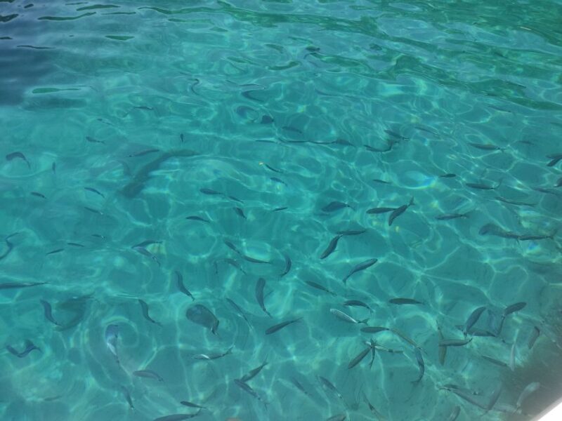 Corfu: Private Boat Tour - Additional Information and Requirements