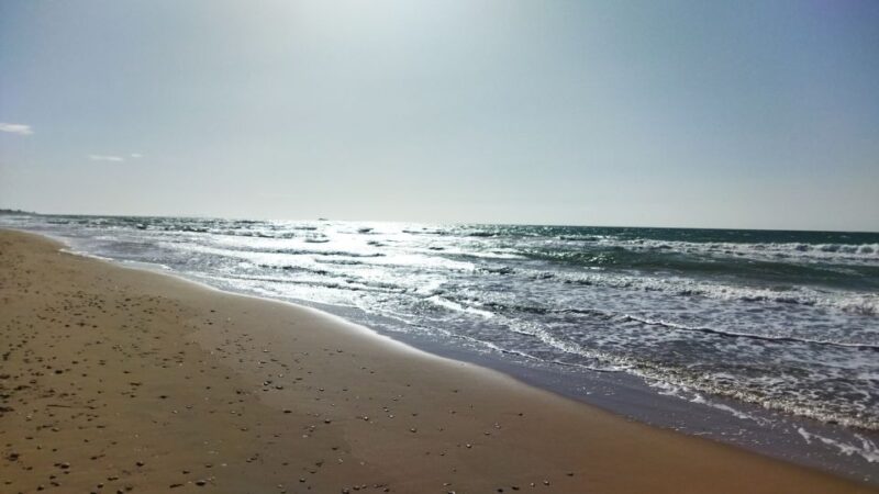 Corfu: Private Full-Day Northern Beaches Tour - Agios Stefanos Beach