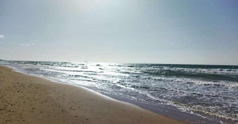 Corfu: Private Full-Day Northern Beaches Tour - Porto Timoni