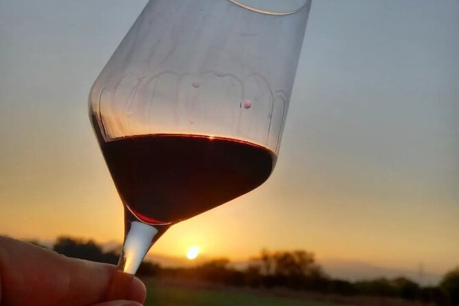 Corinth Winery Tour and Organic Fine Wine Tastings - Pairing Wines With Local Delicacies
