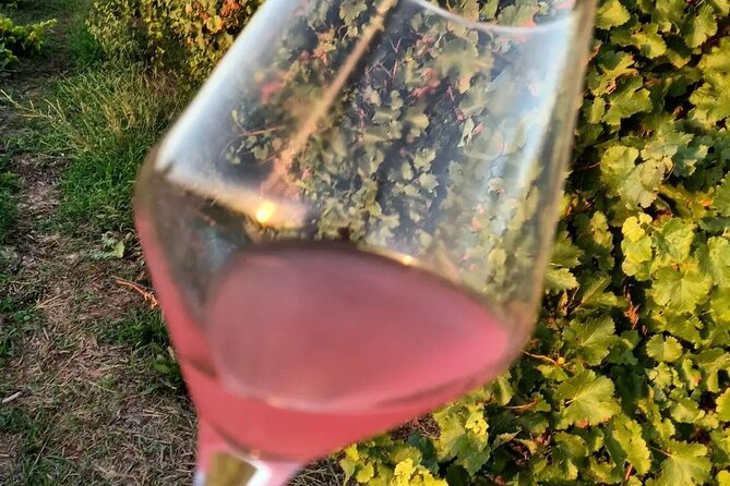 Corinth Winery Tour and Organic Fine Wine Tastings - International Wine Awards and Accolades