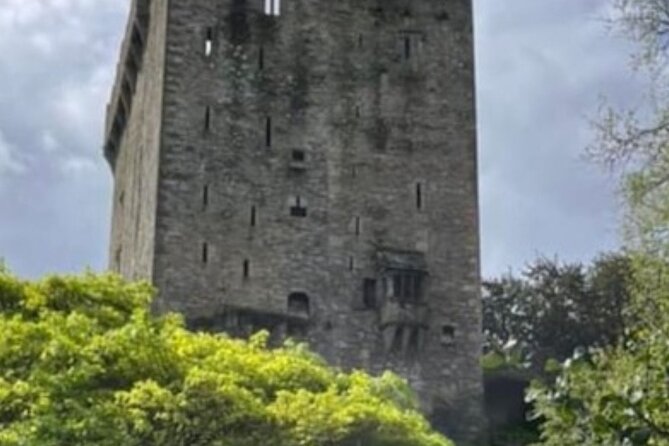 Cork City to Blarney Castle Private Taxi Tour in New AC Minibus - Explore Cork City