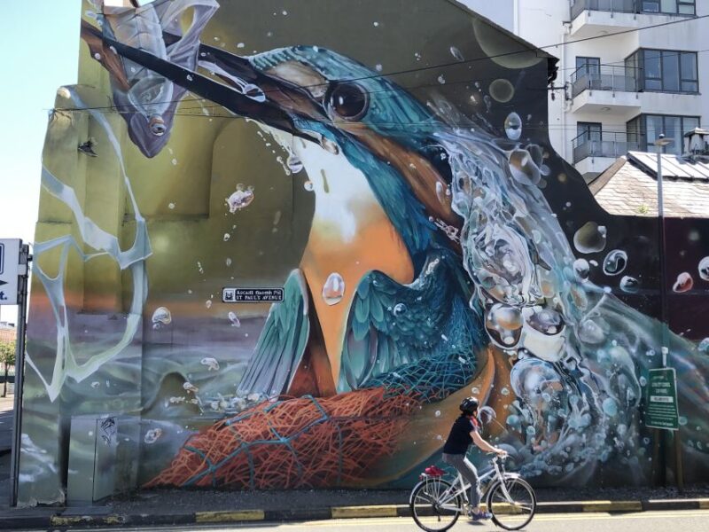 Cork: Cork City Cycle Tour - Inclusions