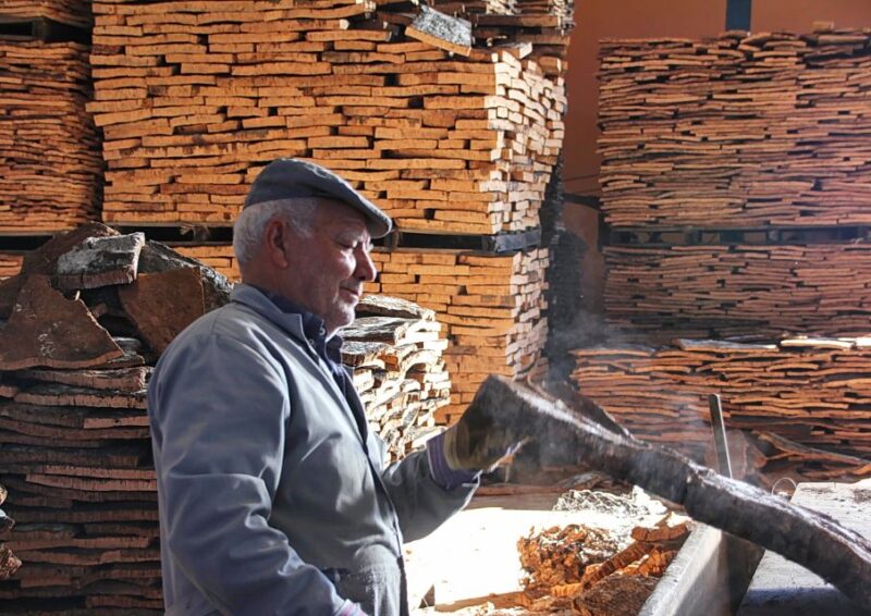 Cork Factory Tour - Key Points