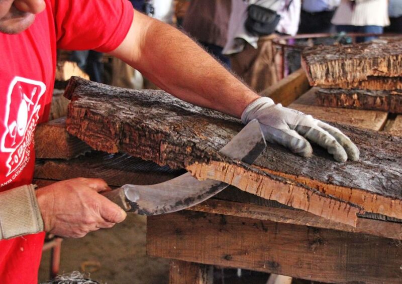 Cork Factory Tour - Experience and Highlights