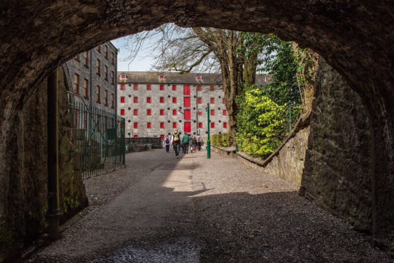 Cork: Jameson Irish Whiskey & Midleton Distillery Experience - Distillery Tour Experience