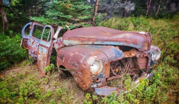 Corner Brook: Woods Island Adventure 3-Hour Zodiac Tour - Frequently Asked Questions