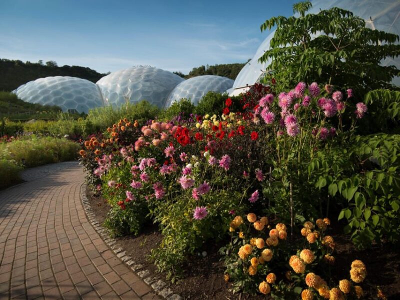 Cornwall: Eden Project Entry Ticket - Visitor Information