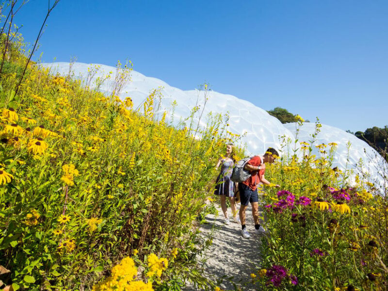 Cornwall: Eden Project Entry Ticket - Customer Feedback