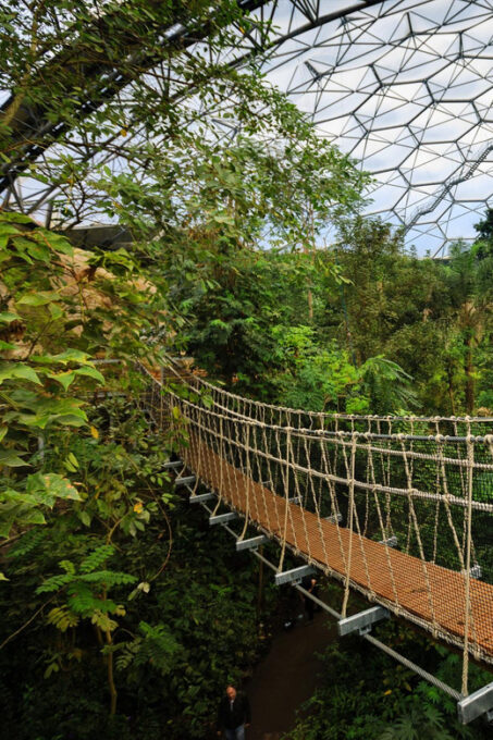 Cornwall: Eden Project Entry Ticket - Accessibility and Amenities