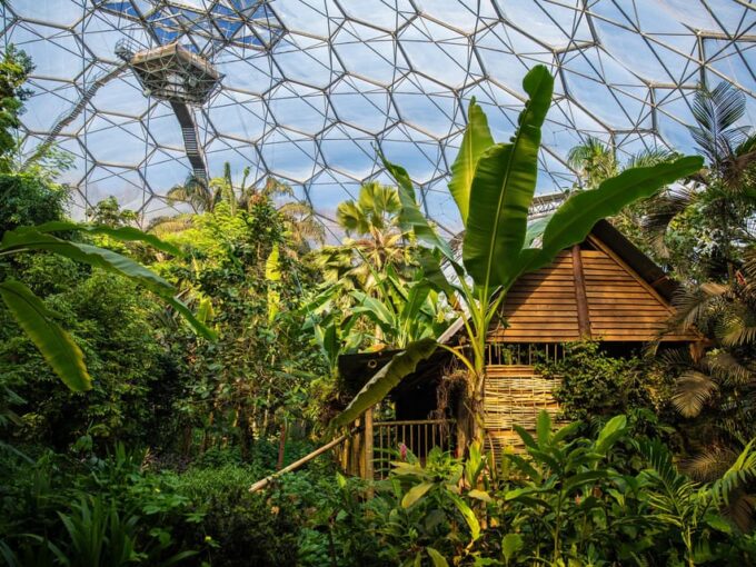 Cornwall: Eden Project Entry Ticket - Recommended Duration