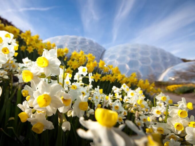 Cornwall: Eden Project Entry Ticket - Pricing and Policies