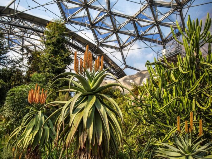Cornwall: Eden Project Entry Ticket - Frequently Asked Questions
