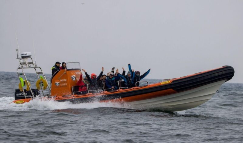 Cornwall: Guided Seal and Puffins Safari by Boat - Booking and Payment Information