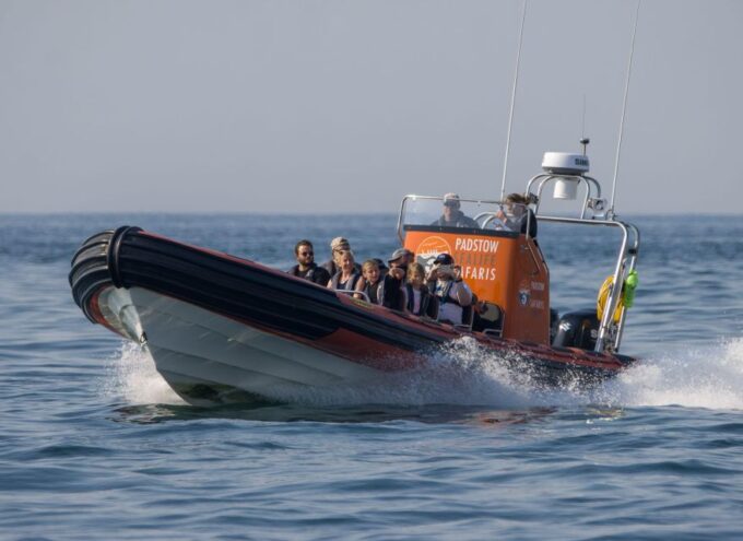 Cornwall: Guided Seal and Puffins Safari by Boat - Additional Tips for the Adventure