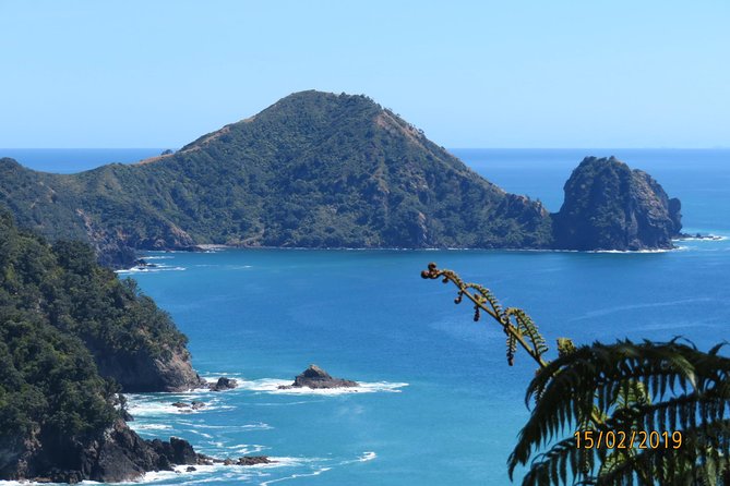 Coromandel Coastal Walkway Day Tour Ex Colville - Tour Inclusions