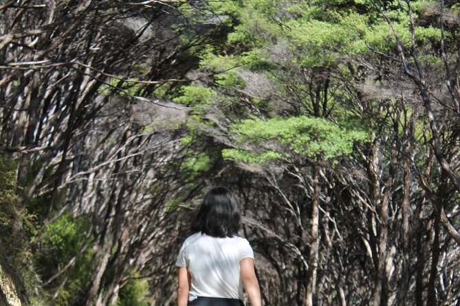 Coromandel Coastal Walkway: Full-Day Hike and Bike Tour - Health and Safety