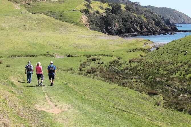 Coromandel Coastal Walkway: Full-Day Hike and Bike Tour - Full-Day Hike and Bike