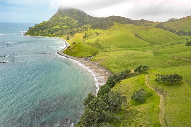 Coromandel Coastal Walkway: Full-Day Hike and Bike Tour - Tour Operator