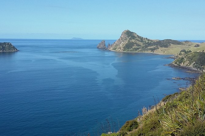 Coromandel Peninsula Discovery - Private Tour From Auckland - Meals and Refreshments