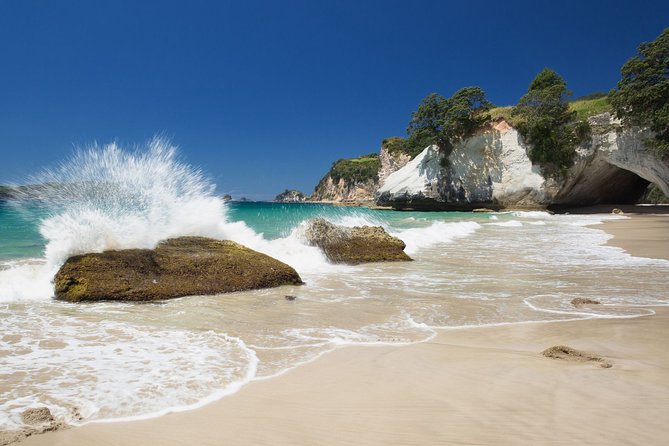 Coromandel Peninsula Discovery - Private Tour From Auckland - Participant Information and Requirements