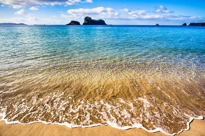 Coromandel Peninsula Discovery - Private Tour From Auckland - Cathedral Cove Boat Tour