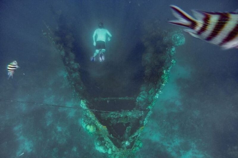 Coron: Barracuda Lake, Skeleton Wreck, Twin Lagoon Boat Tour - Customer Experience and Reviews
