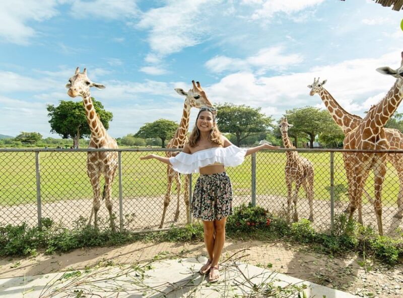Coron: Black Island & Calauit Private Safari Tour - Included Services