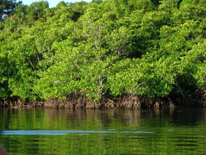 Coron: Calauit Safari Adventure - Frequently Asked Questions