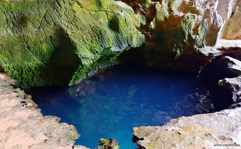Coron Calauit Safari Tour (Private Tour) - Locations and Attractions