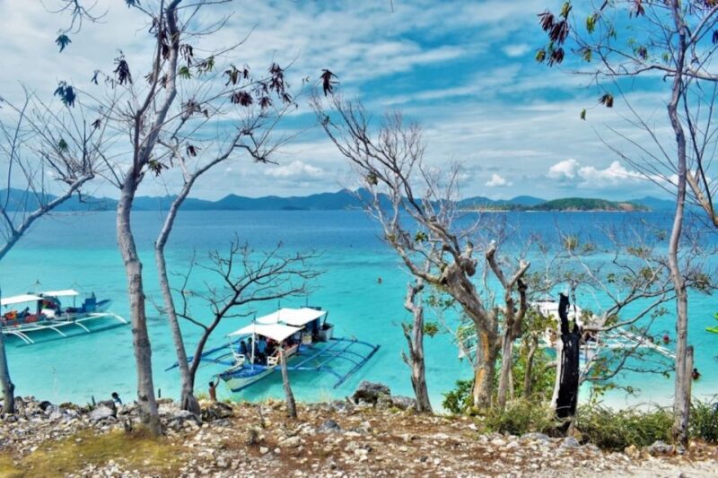 Coron: Coastal Cliffs, Beach & Malcapuya Island Hopping Tour - Important Information