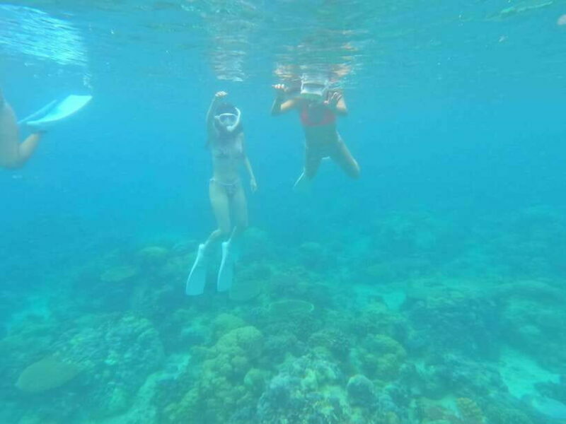 Coron: Dugong Watching with Sea Turtle and Coral Garden tour - Who Will Love This Tour?