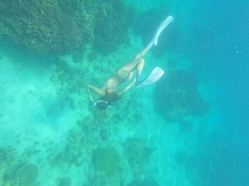 Coron: Dugong Watching with Sea Turtle and Coral Garden tour - FAQs