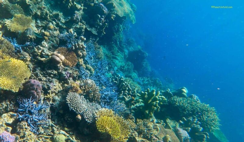 Coron Island Super Ultimate Tour (Private Tour) - Inclusions