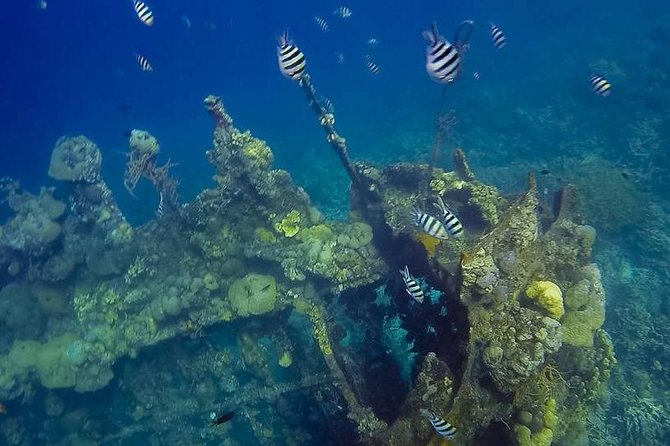 Coron Island Tour B (Private) - Key Points