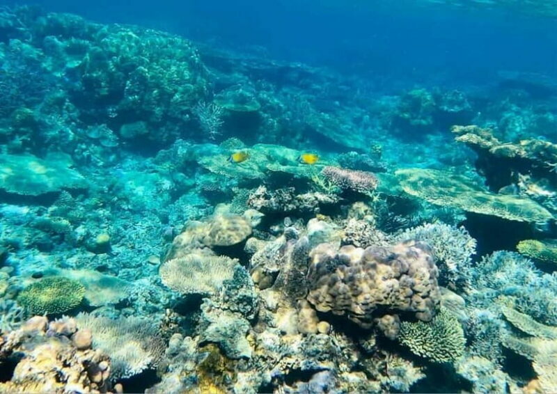 Coron: Island Tour B - Authenticity and Value of Tour B