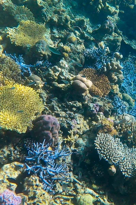 Coron Island Ultimate Tour (Private Tour) - Tour Highlights