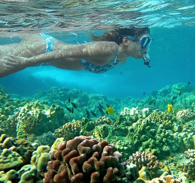 Coron Private Tour B: Barracuda Lake and Smith Beach - Tour Inclusions