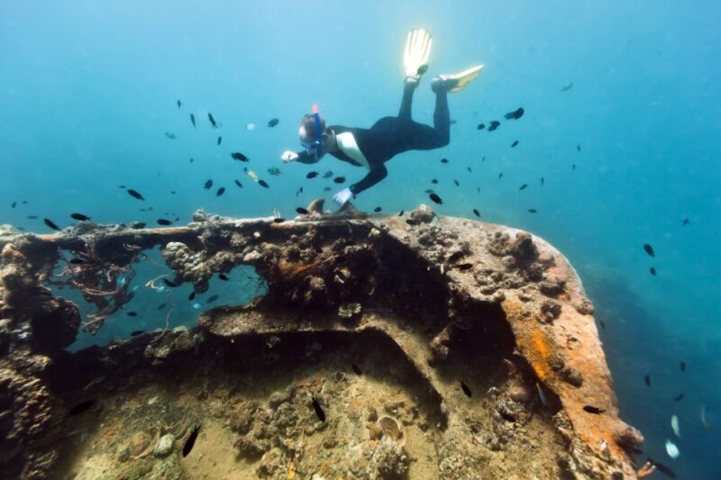Coron Private Tour D: Reef and Wrecks - Key Points