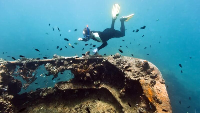 Coron Reef and Wrecks Tour (Private Tour) - Inclusions and Amenities